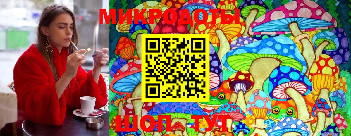Кизляр  Галлюциногенные грибы мухоморы  Галлюциногенные грибы MAGIC MUSHROOMS  купить   Вход с VPN 