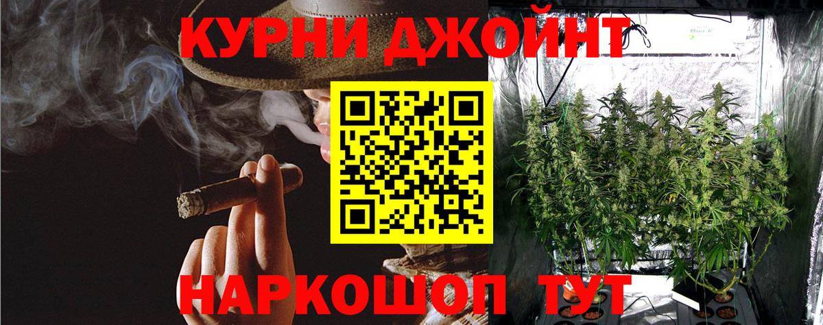 Каннабис White Widow Кизляр